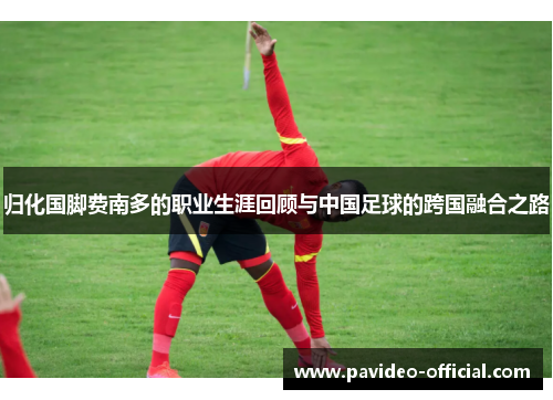 归化国脚费南多的职业生涯回顾与中国足球的跨国融合之路