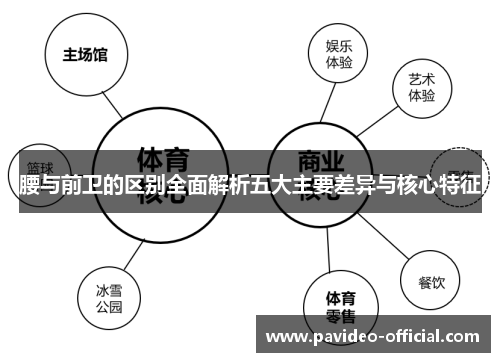 腰与前卫的区别全面解析五大主要差异与核心特征