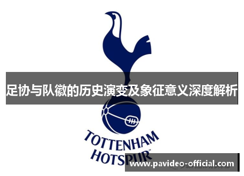 足协与队徽的历史演变及象征意义深度解析