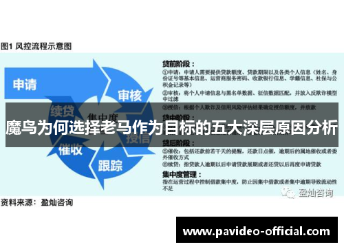 魔鸟为何选择老马作为目标的五大深层原因分析 魔鸟为何选择老马作为目标的五大深层原因分析