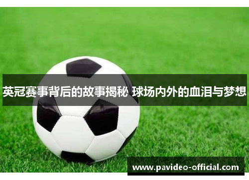 英冠赛事背后的故事揭秘 球场内外的血泪与梦想 英冠赛事背后的故事揭秘 球场内外的血泪与梦想