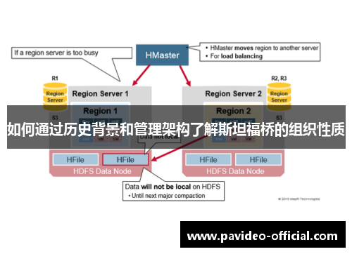 如何通过历史背景和管理架构了解斯坦福桥的组织性质 如何通过历史背景和管理架构了解斯坦福桥的组织性质