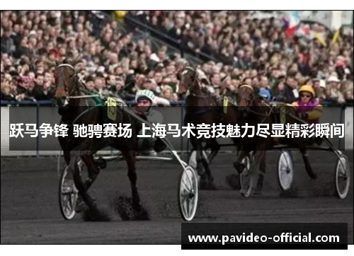 跃马争锋 驰骋赛场 上海马术竞技魅力尽显精彩瞬间