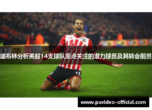 迪布林分析英超14支球队重点关注的潜力球员及其转会前景