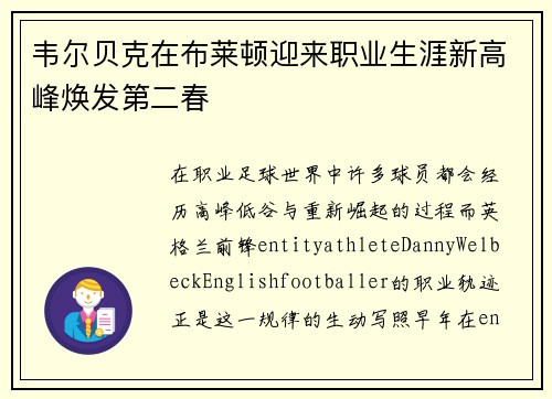 韦尔贝克在布莱顿迎来职业生涯新高峰焕发第二春