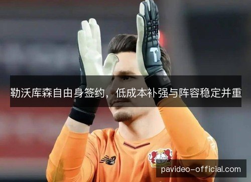 勒沃库森自由身签约,低成本补强与阵容稳定并重 勒沃库森自由身签约,低成本补强与阵容稳定并重